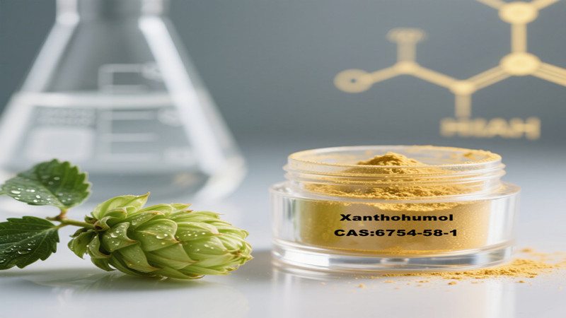 啤酒花提取物优质黄腐酚（CAS 6754-58-1）：用于健康创新的高纯度生物活性类黄酮