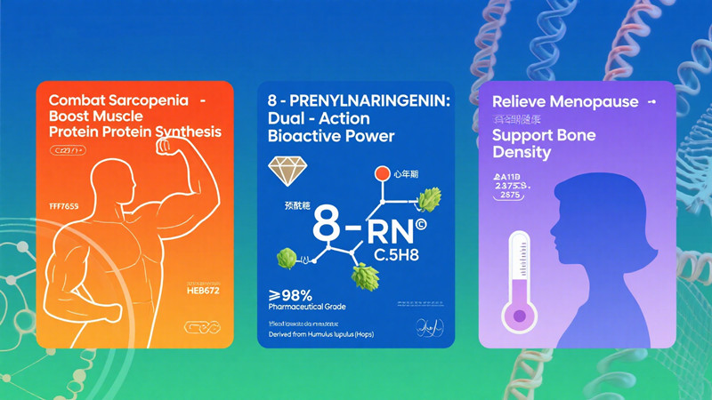 高纯度 8-PN：肌肉和更年期的双重助力
