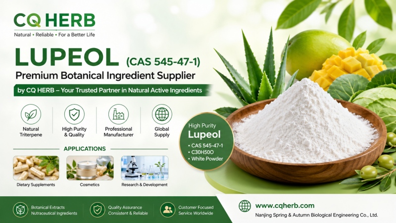 CQ HERB 羽扇豆醇供应商及制造商 | 高纯度羽扇豆醇 CAS 545-47-1