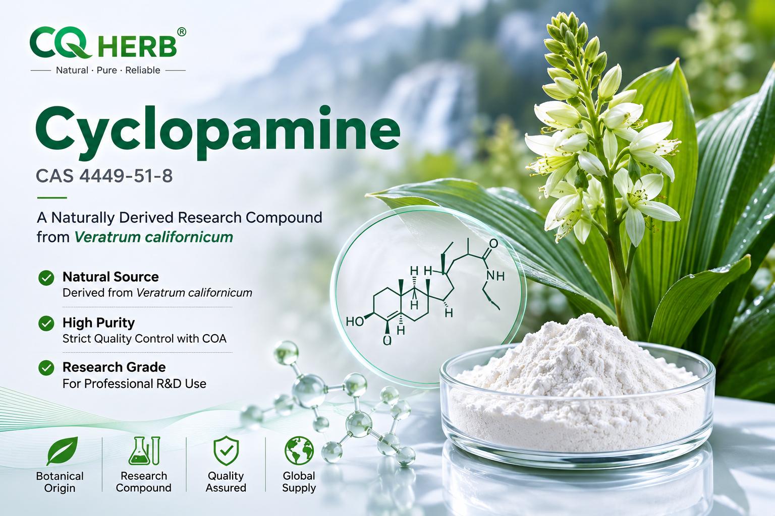 环巴胺（CAS 4449-51-8）：研究指南、化学信息、植物来源和 Hedgehog 信号通路背景