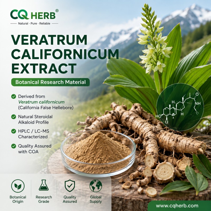Veratrum californicum Extract